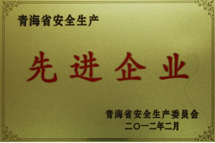 安全生產(chǎn)先進企業(yè)