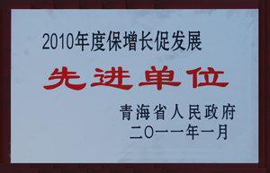 2010保增長促發(fā)展先進單位